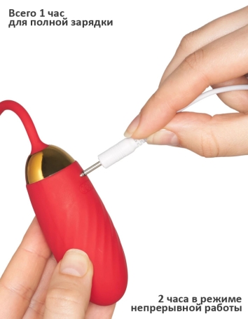 Виброяйцо Svakom Ella Neo